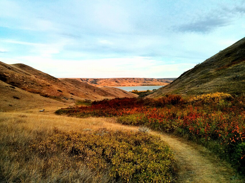 2013-09-21  -  Saskatchewan Landing Provincial Park, SK