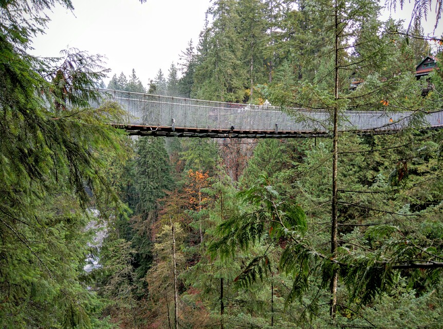 2015-10-29  -  Capilano Suspension Bridge, BC
