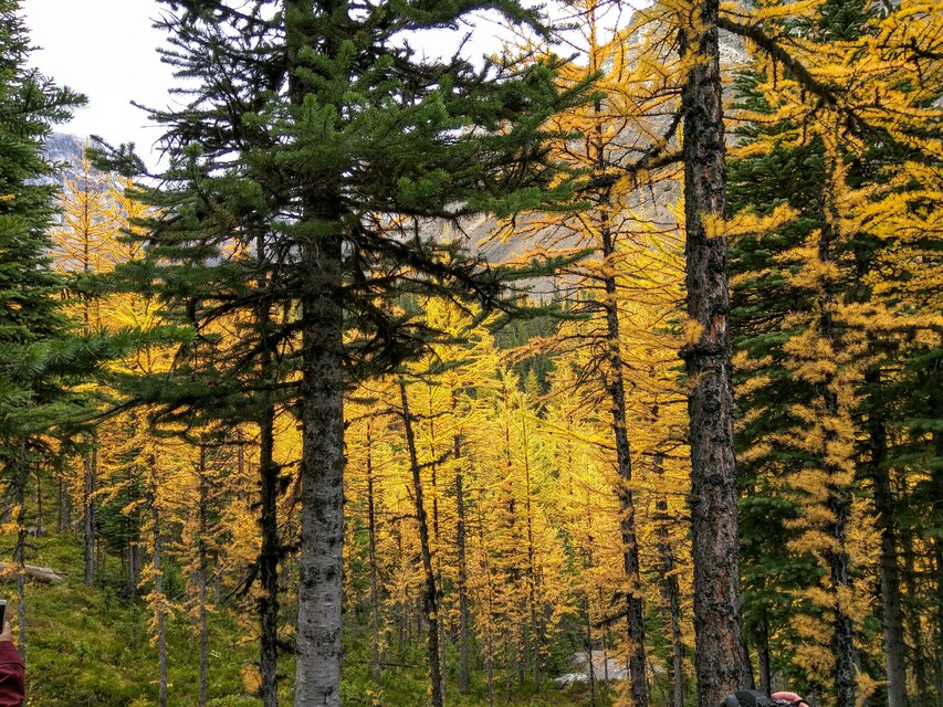 2016-09-17  -  Banff, AB