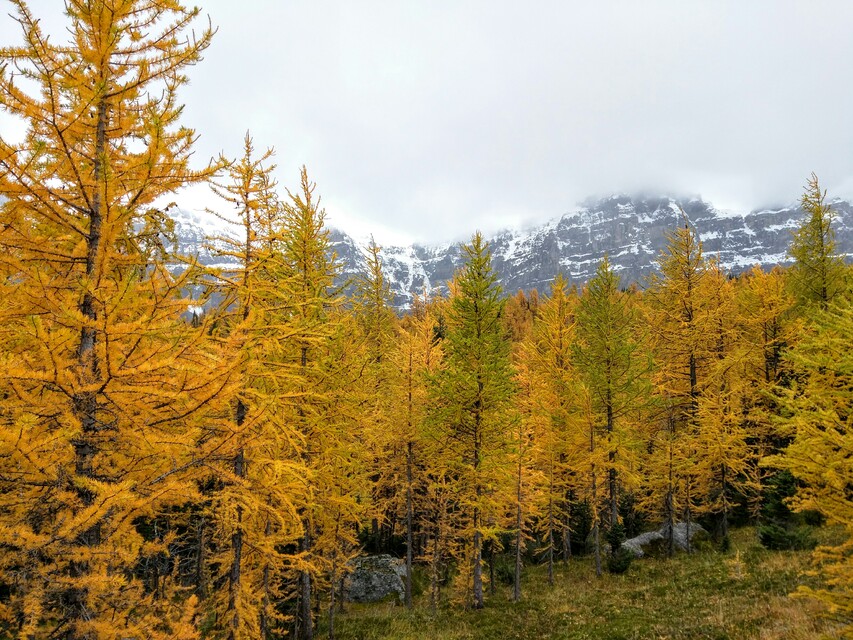 2016-09-17  -  Fall Colours, Banff, AB