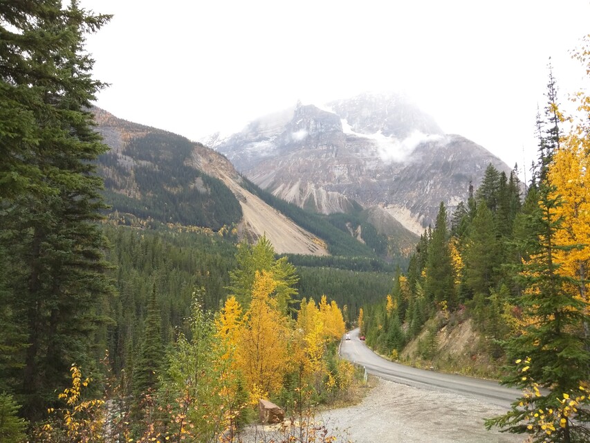 2016-09-17  -  Yoho Valley Road, BC