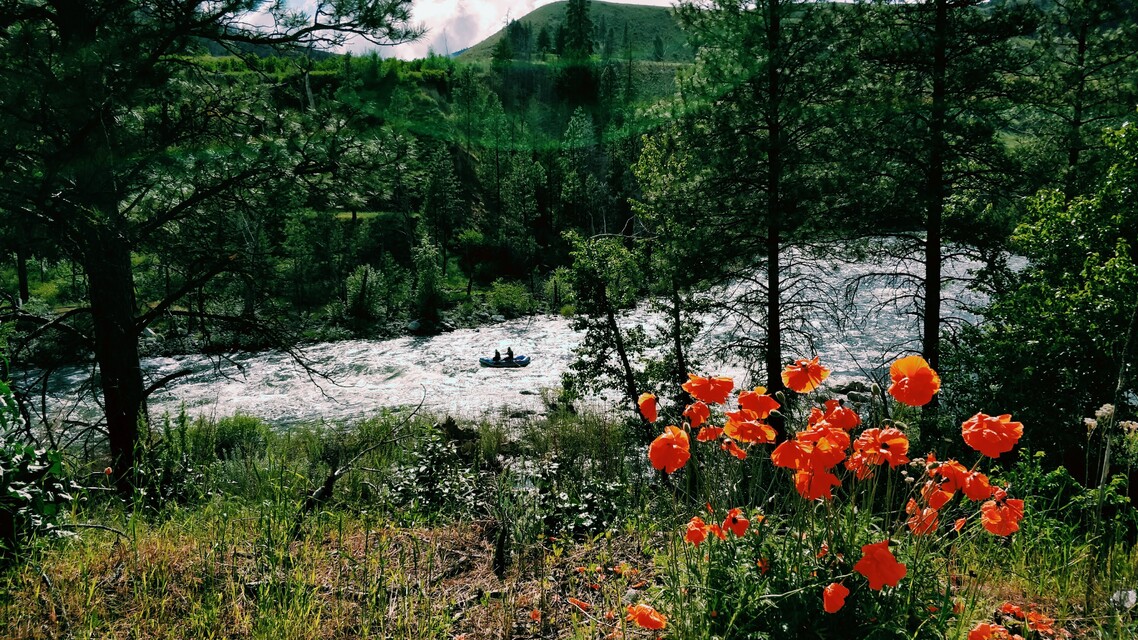 2019-05-25  -  Skagit River, Cascades, WA