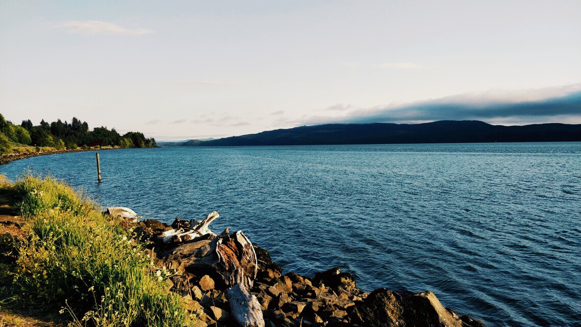 2019-05-29  -  Oregon Coastal Highway, OR