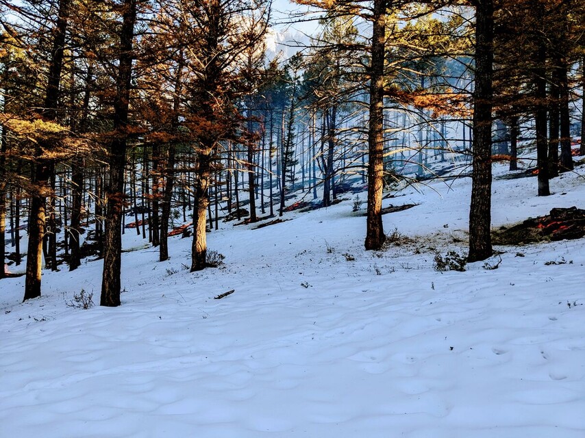 2022-12-07  -  Controlled Burns on the Prairie Trail, Mt. Helena, MT