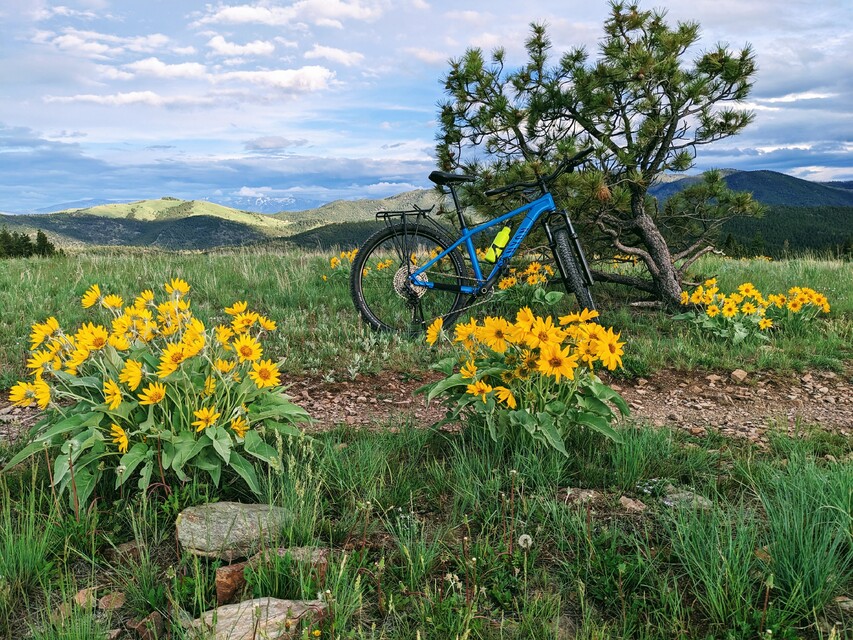 2023-05-28  -  Ridge Trail, Mt. Helena, MT