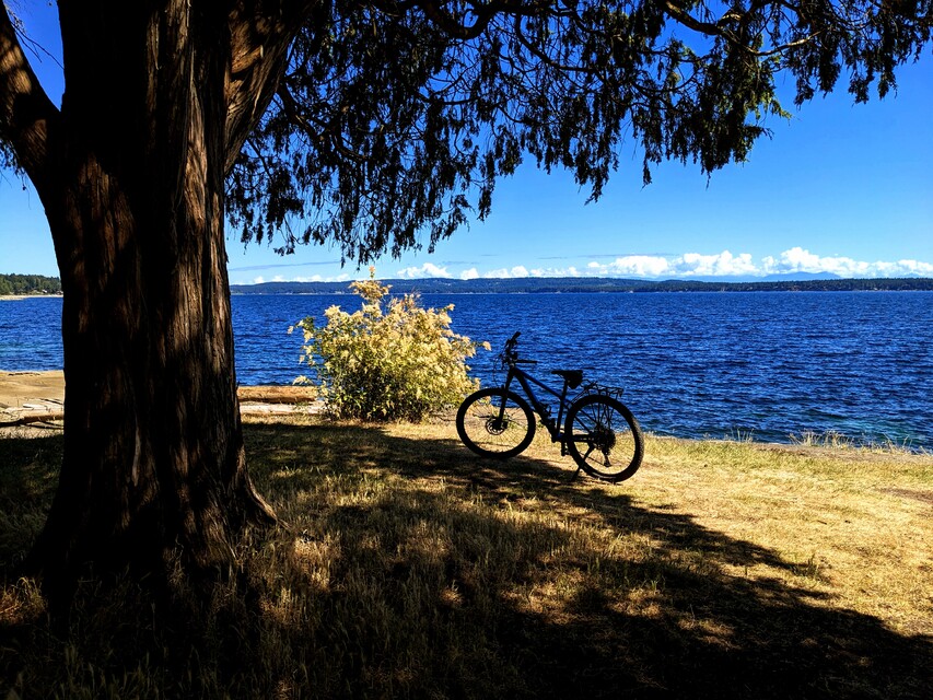 2023-06-30  -  Roberts Memorial Provincial Park, Vancouver Island, BC