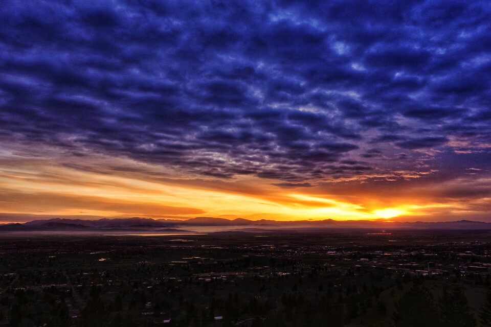 2024-04-26  -  Ambrose Trail, Mt. Helena, MT