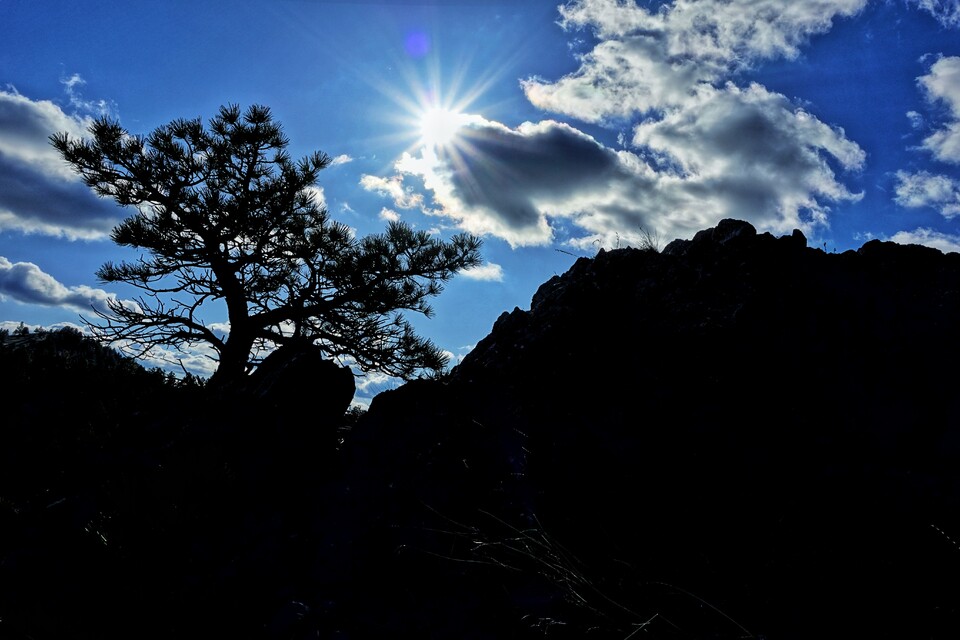 2024-05-09  -  Backside Trail, Mt. Helena, MT