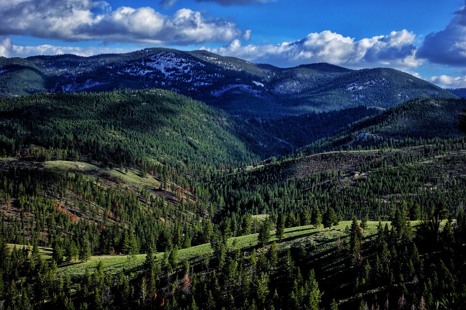 2024-05-09  -  Hanging Draw Trail, Mt. Helena, MT