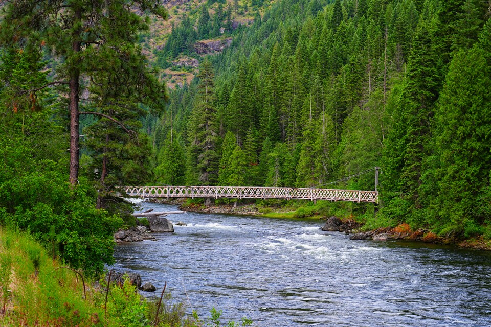 2024-06-14  -  US-12, Lolo National Forest, MT