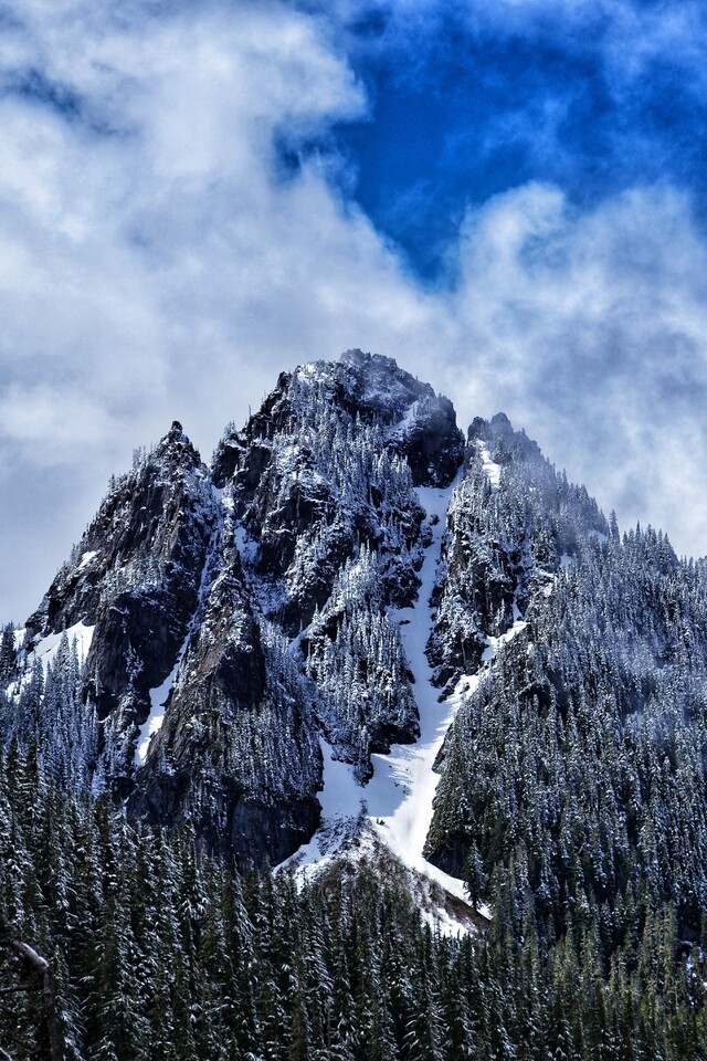 2024-06-16  -  Mount Rainier National Park, WA