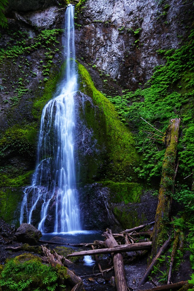 2024-06-18  -  Marymere Falls, Olympic National Park, WA