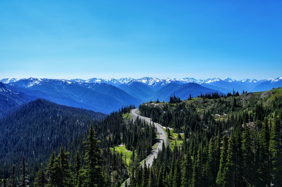 2024-06-19  -  Hurricane Ridge, Olympic National Park, WA