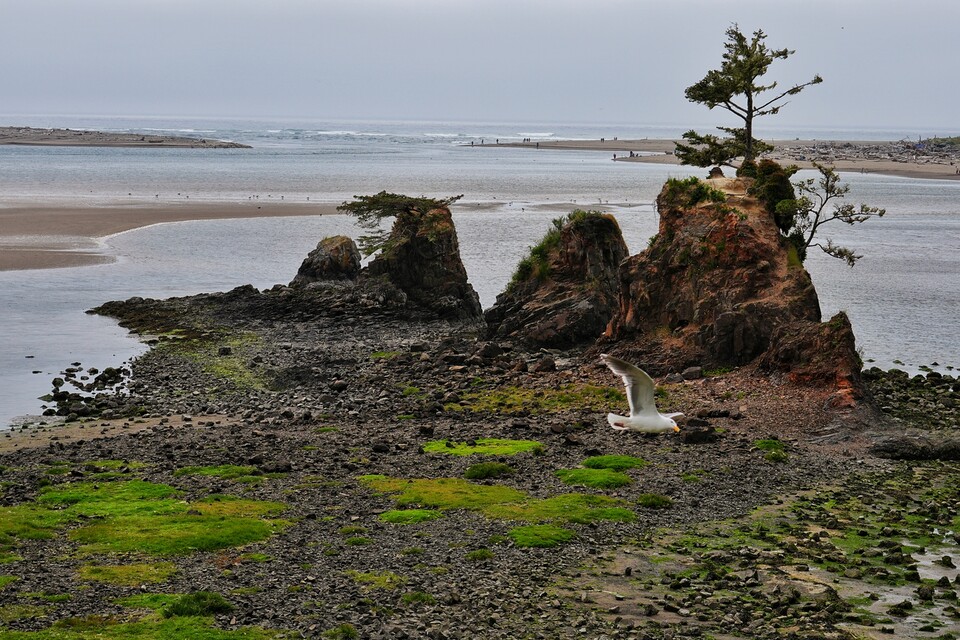 2024-06-20  -  Oregon Coast Highway, OR