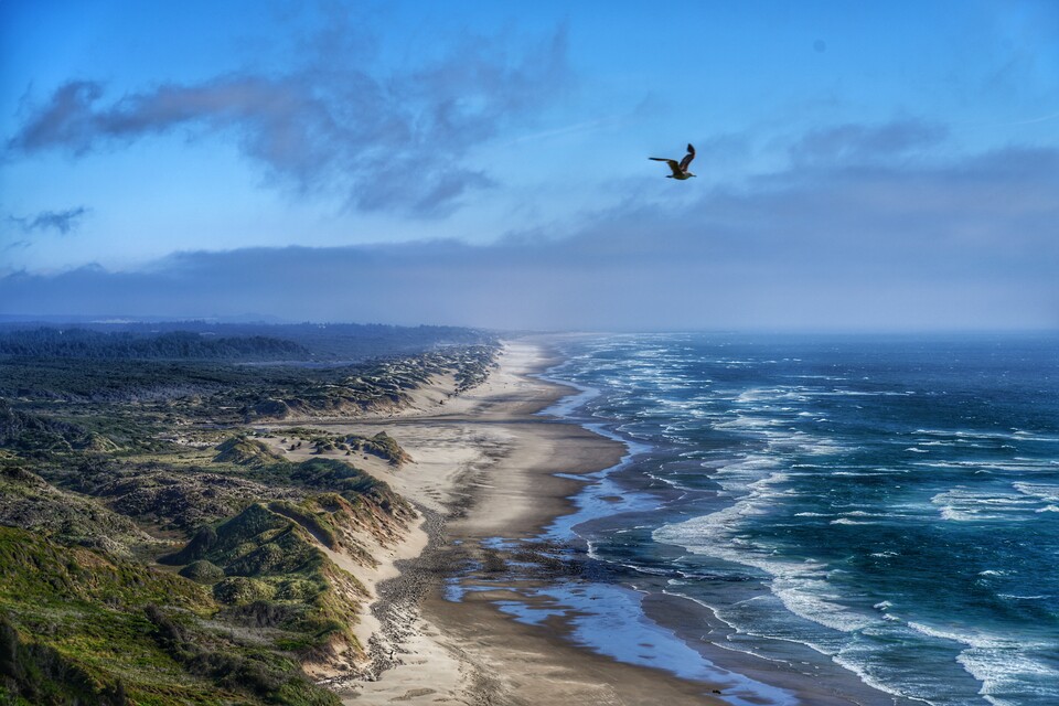 2024-06-20  -  Scenic drive, Oregon Coast, OR