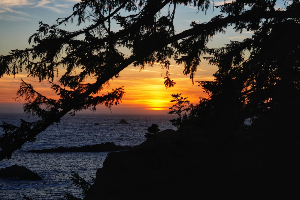 2024-06-21  -  Natural Bridges, Oregon Coast Highway, OR