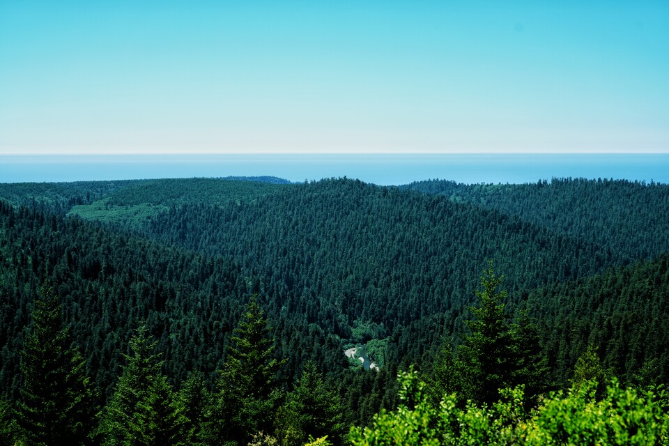 2024-06-22  -  Redwoods Rising, Redwood National Park, CA