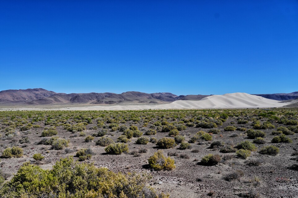 2024-06-29  -  Sand Mountain Recreation Area, NV