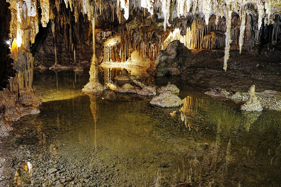 2024-06-30  -  Lehman Caves Lake  -  Great Basin National Park, NV