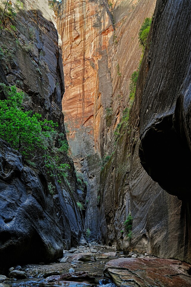 2024-07-03  -  The Narrows  -  Zion National Park, UT