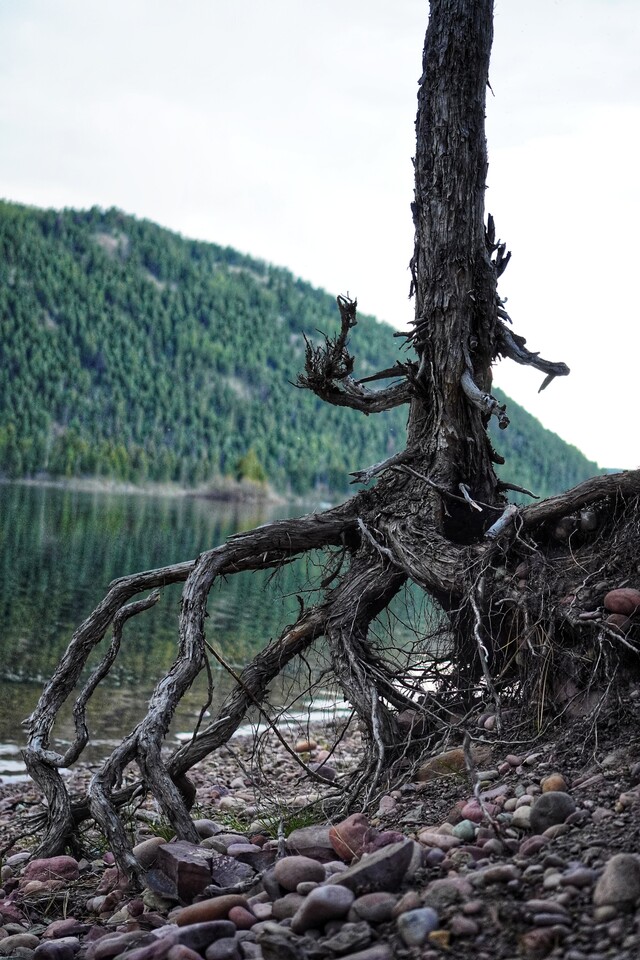 2025-05-03  -   Salmon Lake, MT