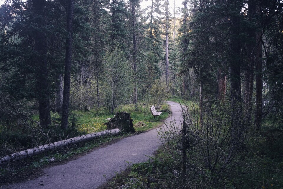 2025-05-31  -  Langohr Campground, Bozeman, MT