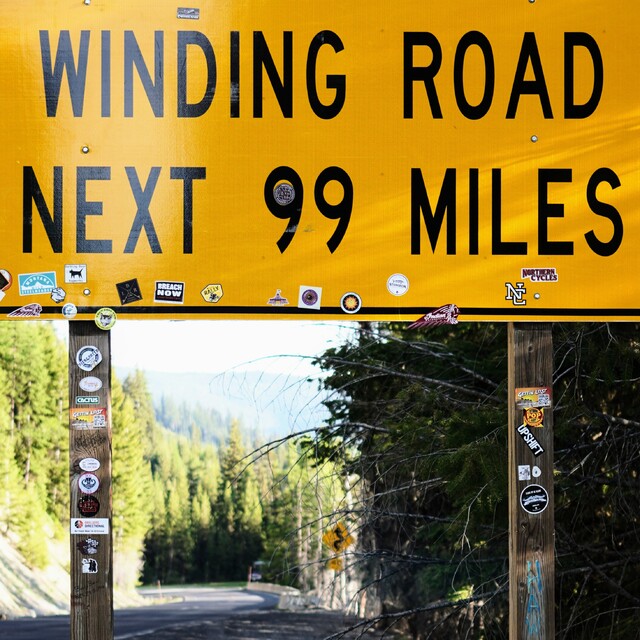 2025-06-06  -   Lolo National Forest, MT
