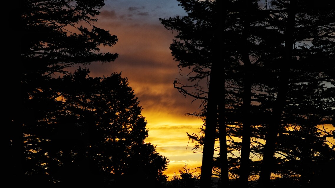 2025-07-11   -   Helena, MT