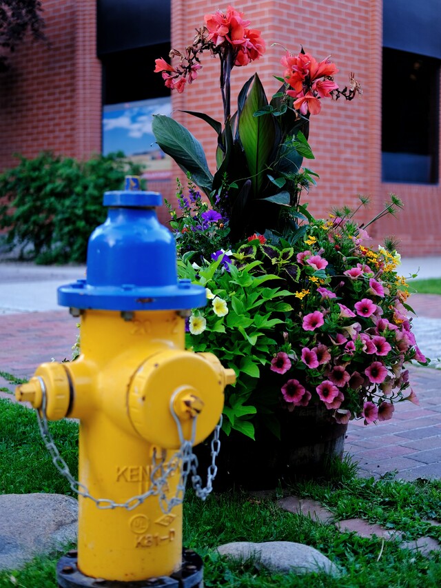 2025-07-18  -  Downtown Helena, MT