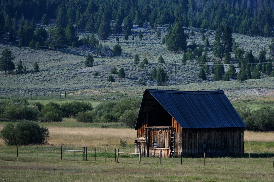 2025-08-23  -  Near Butte, MT