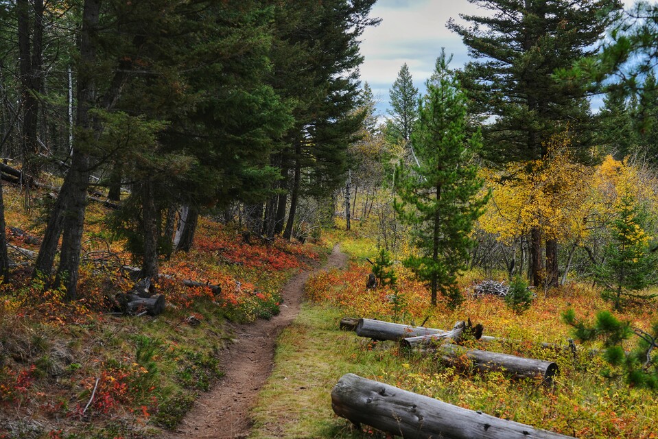 2025-10 04 - Willard Creek, Clancy, MT