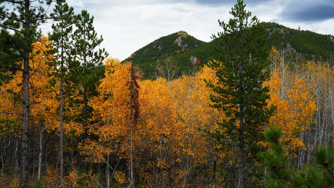 2025-10 04 - Willard Creek Trailhead, Clancy, MT
