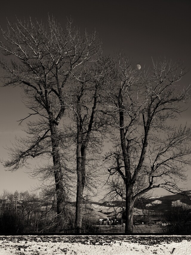 2025-11-30  - Grant-Kohrs Ranch National Historic Site, MT