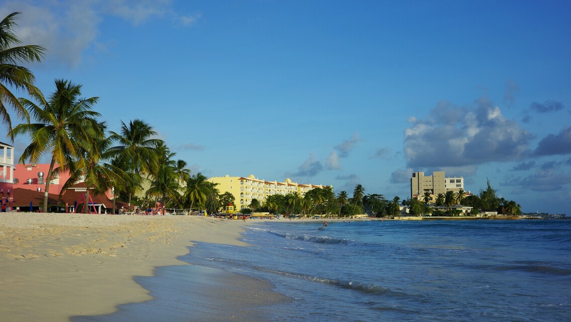 2025-12-19 -  Dover Beach, Barbados