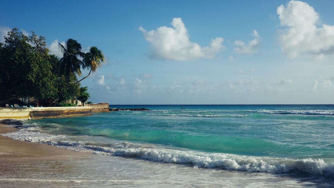 2025-12-19  -  Dover Beach, Barbados