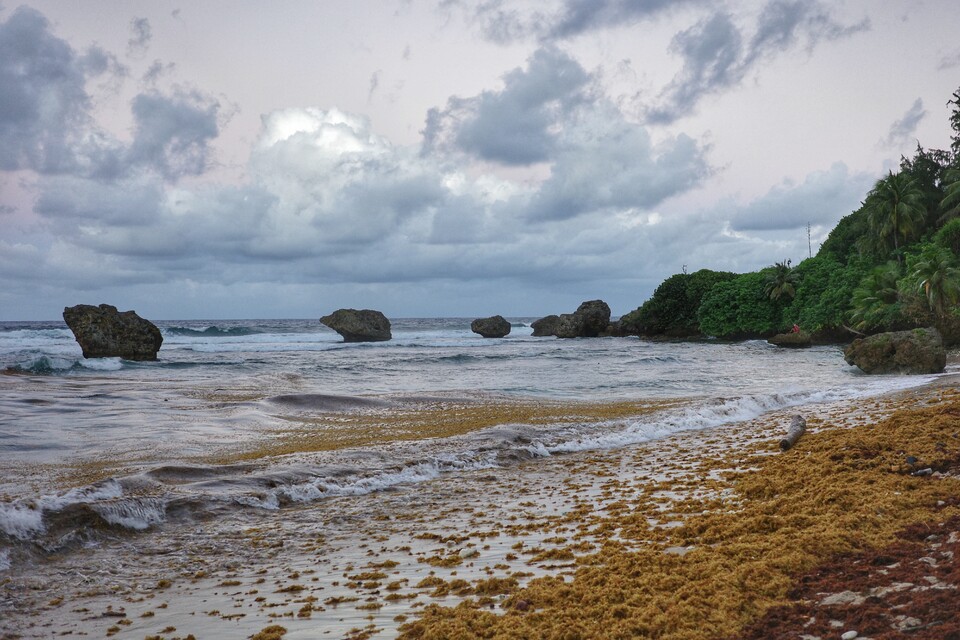 2025-12-23 - Bathsheba Beach, Barbados