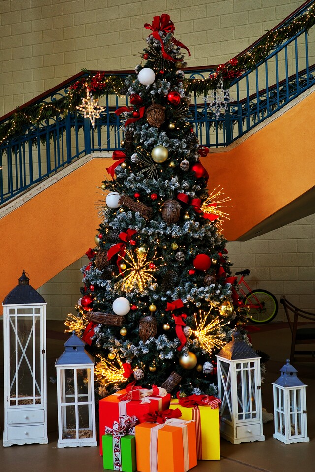 2025-12-24 - Christmas Decor at the Hilton, Barbados