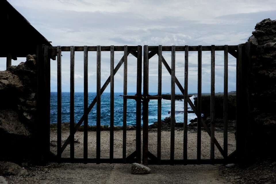 2025-12-28 - Animal Flower Bay, North Point, Barbados