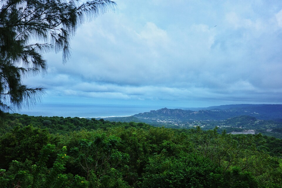 2025-12-28 - The view from the gazebo at Farley Hill National Park, Barbados