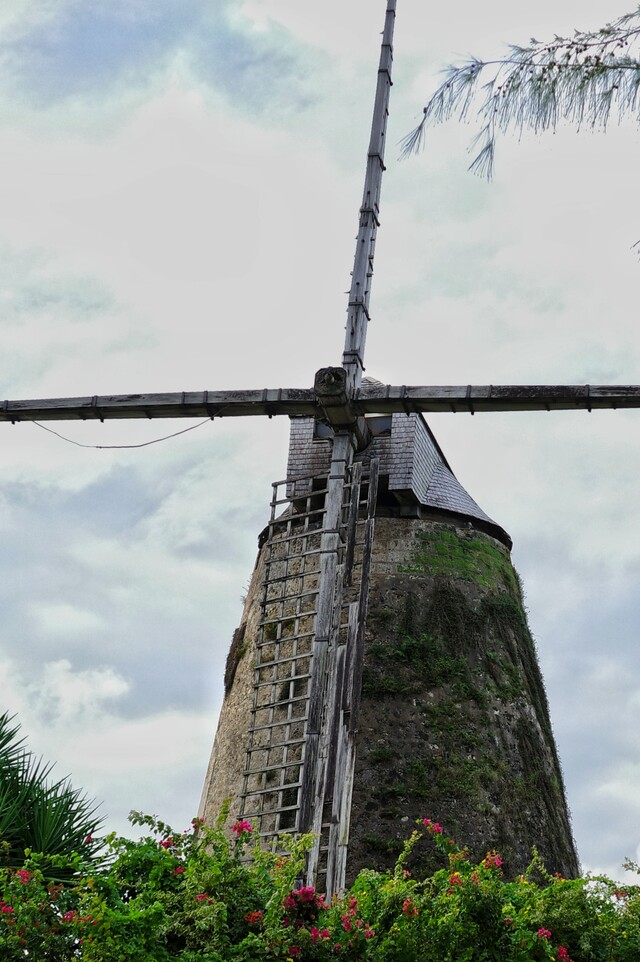 2025-12-29 - Morgan Lewis Windmill, Barbados