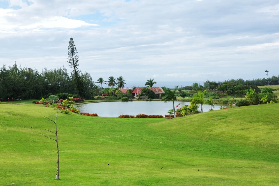2025-12-29  - St Nicholas Abbey, Barbados