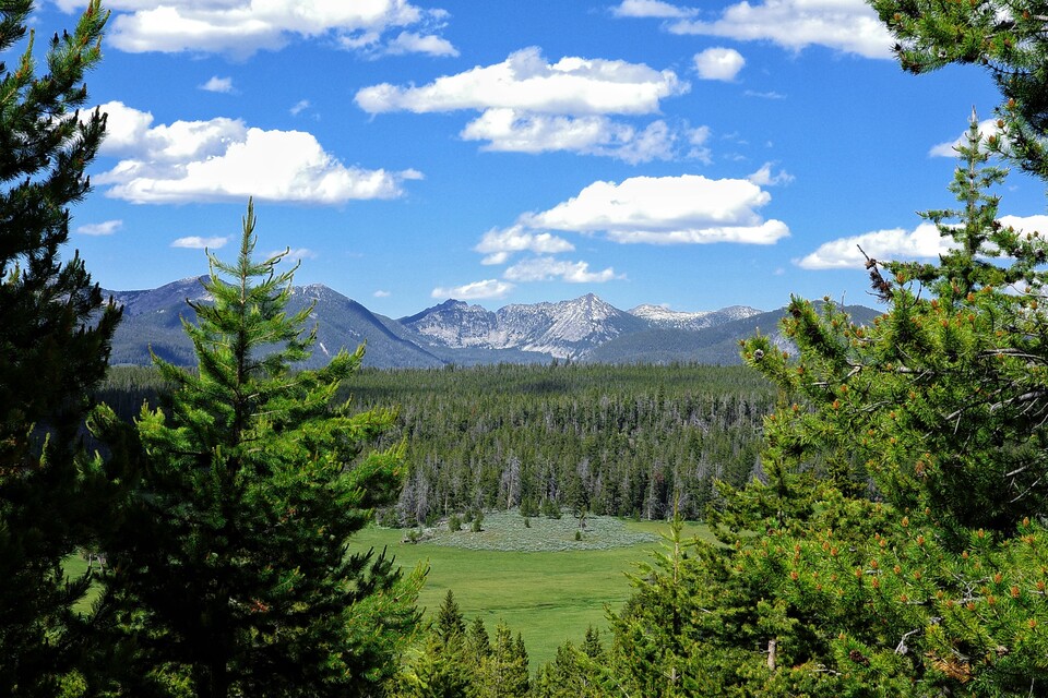 2026-07-07  -  Crystal Park Mineral Collection Area, Dillon, MT